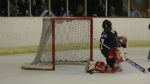 goal save hull