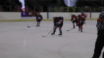 sw v se ice hockey game